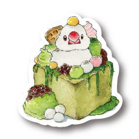 middle size|ハニトー 文鳥