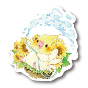 middle size|水遊びオカメ