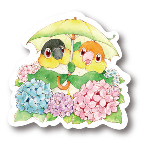 middle size|紫陽花カイクー