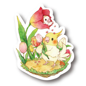 middle size|チューリップオカメ