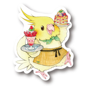 middle size|Cafe de birdsオカメインコ