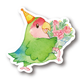 middle size|お祝い コザクラインコ