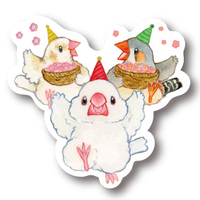 middle size|お祝い フィンチ 文鳥・キンカ・ジュウシマツ