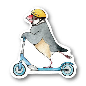 sticker Msize|Kickboard sparrow