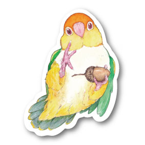 sticker Msize|Acorn White-bellied Parakeet