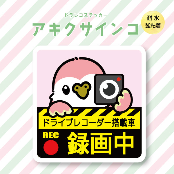 ドラレコステッカー|アキクサインコ