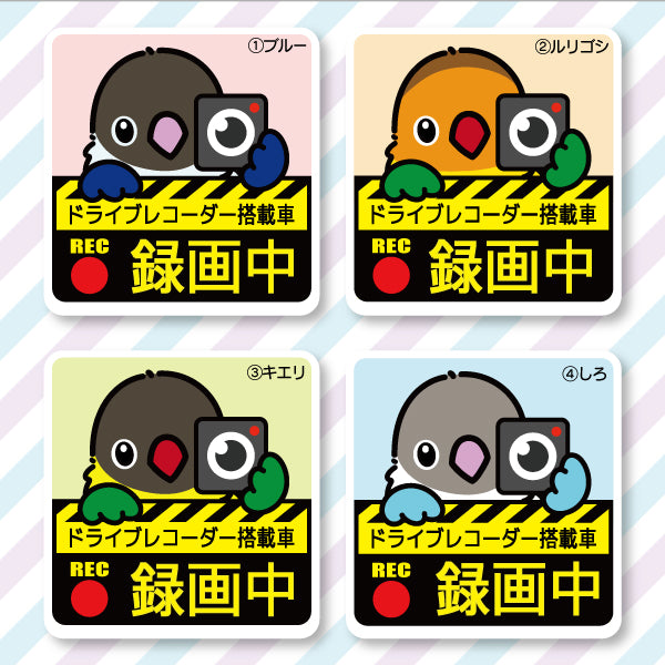 ドラレコステッカー|ボタンインコ(全4種)