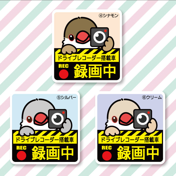 ドラレコステッカー|文鳥(全6種)