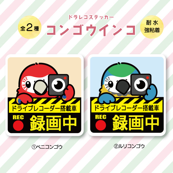 ドラレコステッカー|コンゴウインコ(全2種)