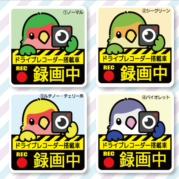 ドラレコステッカー|コザクラインコ(全4種)