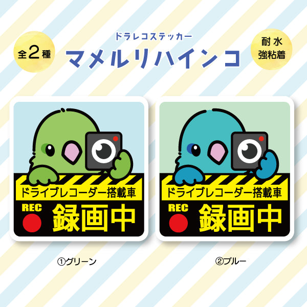 ドラレコステッカー|マメルリハ(全2種)