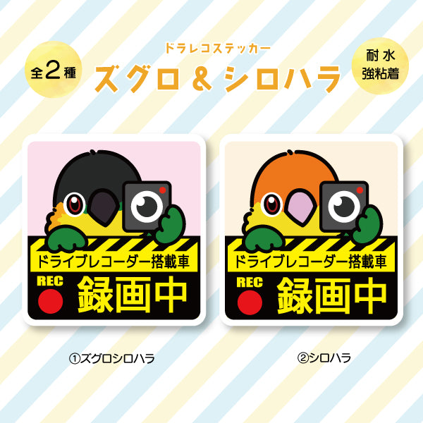 ドラレコステッカー|ズグロ・シロハラ(全2種)