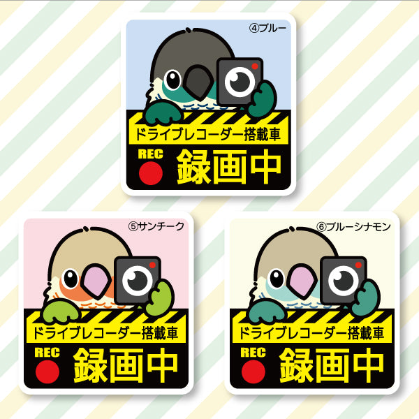 行车记录仪贴纸|Urocoinco(共6种)