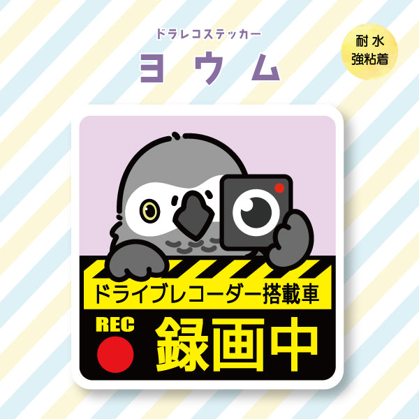 ドラレコステッカー|ヨウム