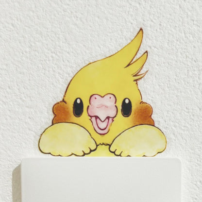 ウォールステッカー｜覗くオカメちゃん(ルチノー)