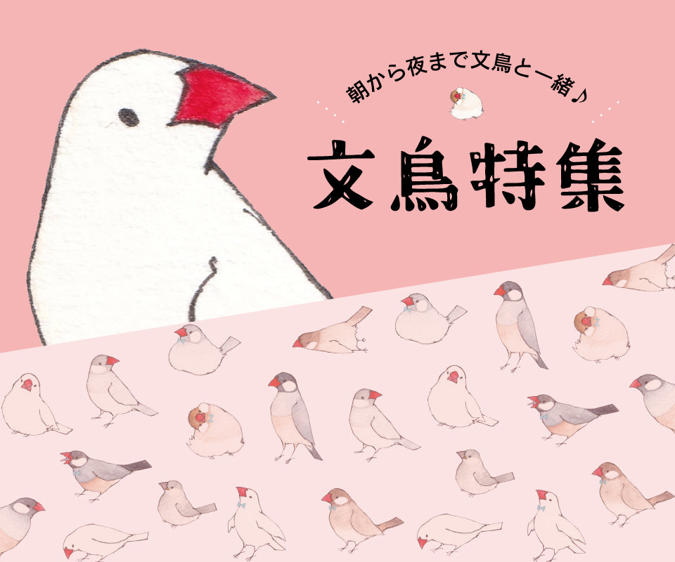 ゆとり屋オンラインショップ – ゆとり屋公式オンラインショップ