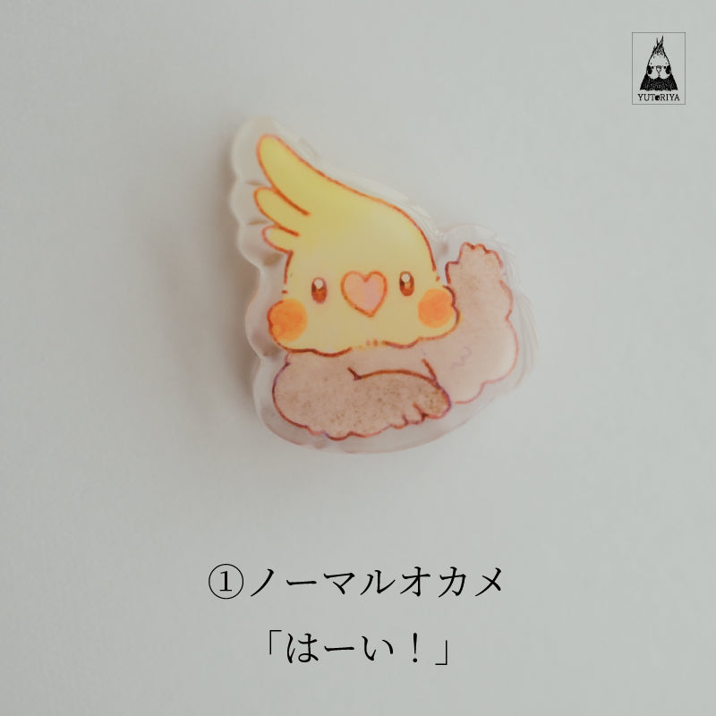 オカメインコのアクリルクリップ