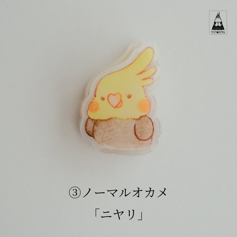 オカメインコのアクリルクリップ