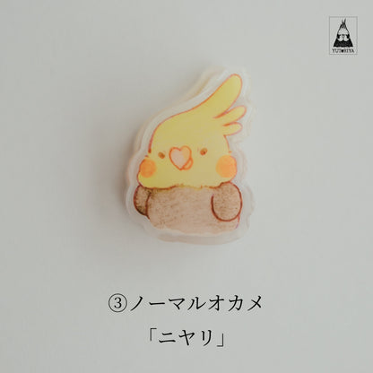 オカメインコのアクリルクリップ