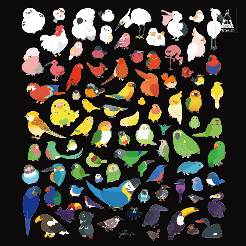 Tシャツ｜カラフル鳥ずかん