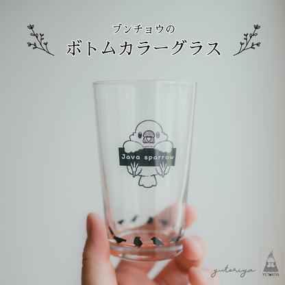 ボトムカラーグラス｜文鳥