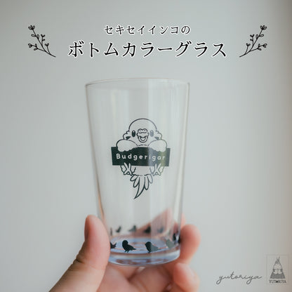 ボトムカラーグラス｜セキセイインコ