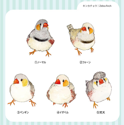 sticker Ssize｜キンカチョウ Zebra finch