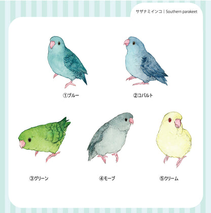 sticker Ssize｜Southern parakeet