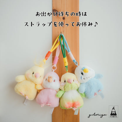 お着換えぬいぐるみ