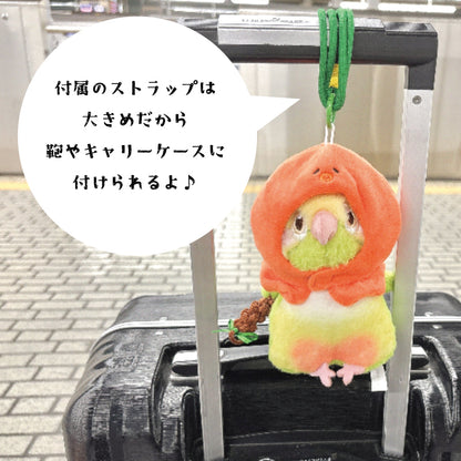 お着換えぬいぐるみ