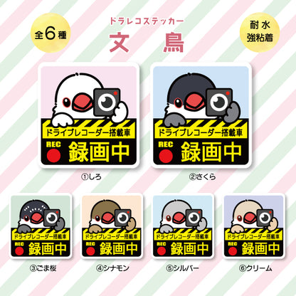 Drive recorder sticker | Java sparrow (6 types in total)