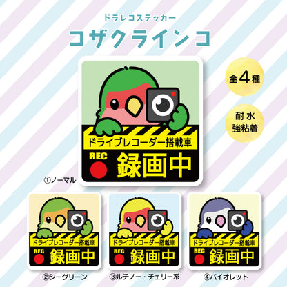 Drive recorder sticker | Lovebird (all 4 types)