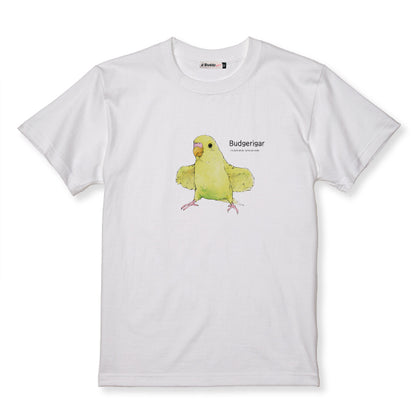 Tシャツ｜セキセイインコBudgerigar