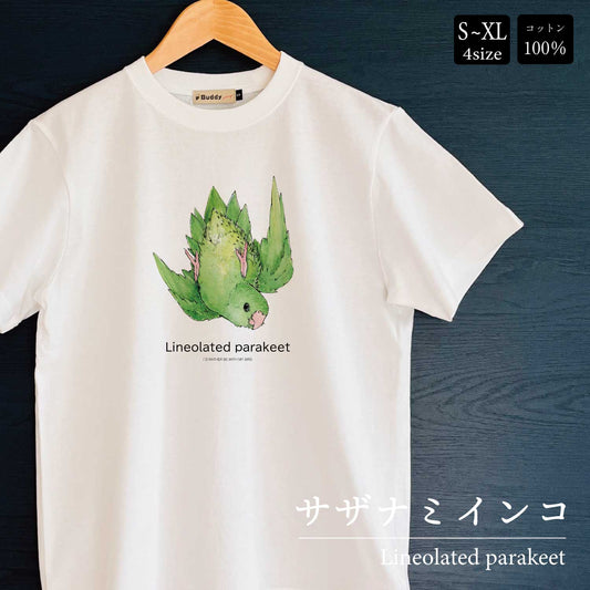 Tシャツ｜サザナミインコLineolated parakeet