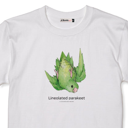 T-shirt | Southern Parakeet Lineolated parakeet