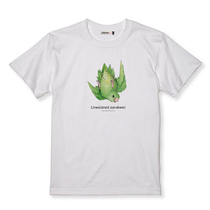 T-shirt | Southern Parakeet Lineolated parakeet